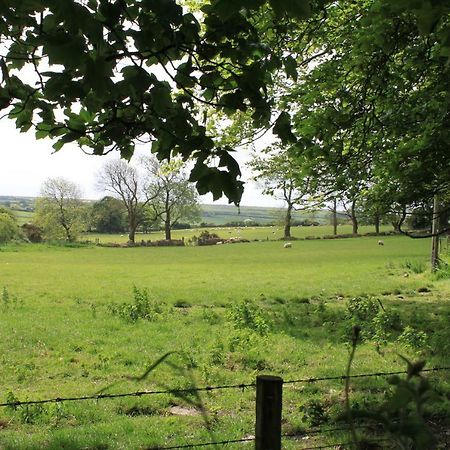 Ty Llwyd Bed and Breakfast Treffynnon Εξωτερικό φωτογραφία