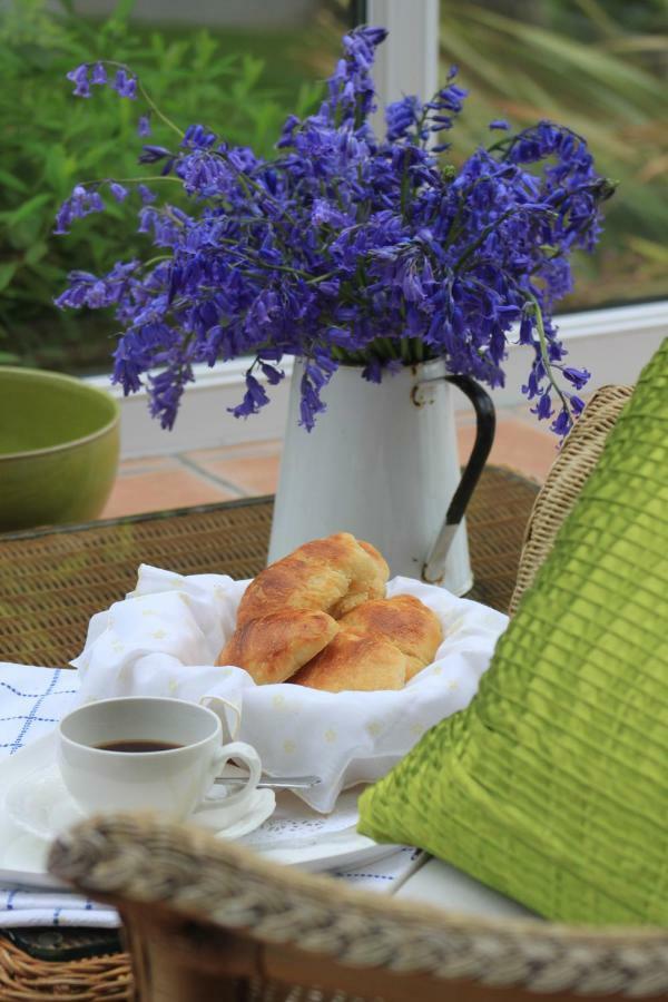 Ty Llwyd Bed and Breakfast Treffynnon Εξωτερικό φωτογραφία